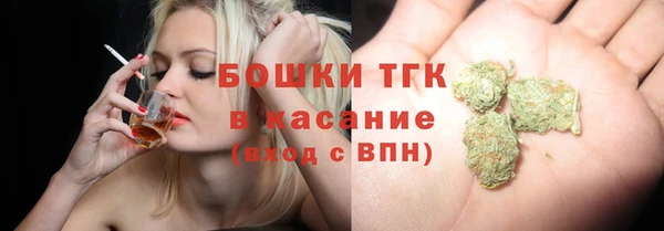 хмурый Яблоновский