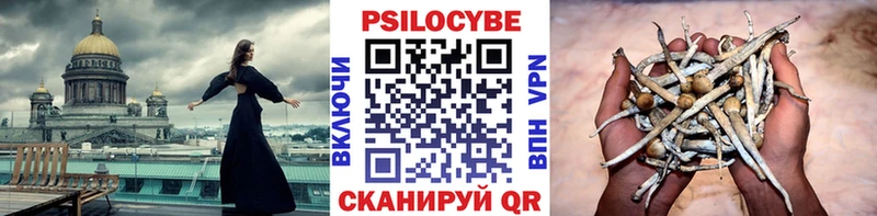 даркнет сайт  kraken онион  Галлюциногенные грибы ЛСД  Галич 